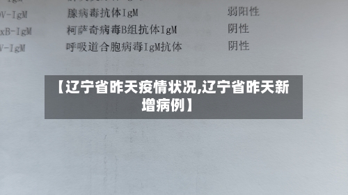 【辽宁省昨天疫情状况,辽宁省昨天新增病例】-第3张图片