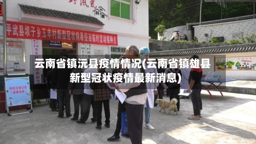 云南省镇沅县疫情情况(云南省镇雄县新型冠状疫情最新消息)-第2张图片