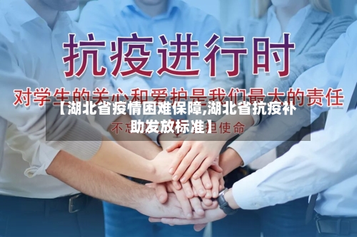 【湖北省疫情困难保障,湖北省抗疫补助发放标准】-第3张图片