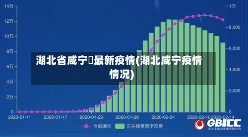 湖北省咸宁巿最新疫情(湖北咸宁疫情情况)-第1张图片