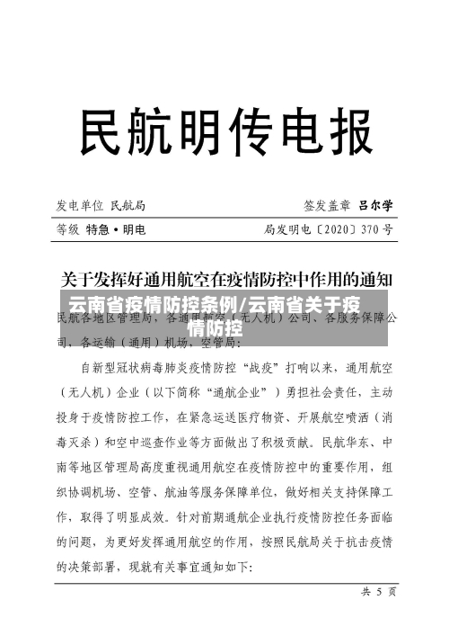 云南省疫情防控条例/云南省关于疫情防控-第1张图片