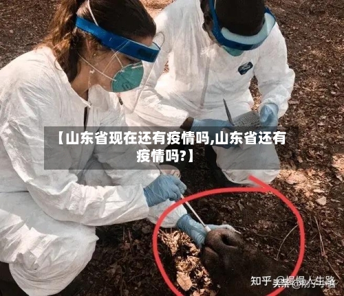 【山东省现在还有疫情吗,山东省还有疫情吗?】-第1张图片