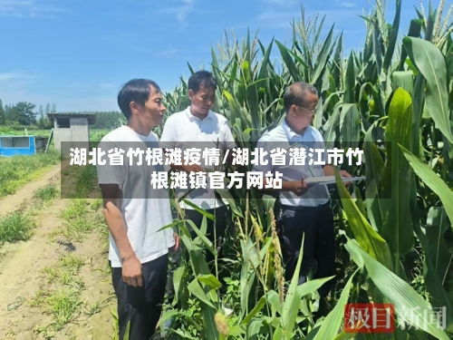 湖北省竹根滩疫情/湖北省潜江市竹根滩镇官方网站-第3张图片
