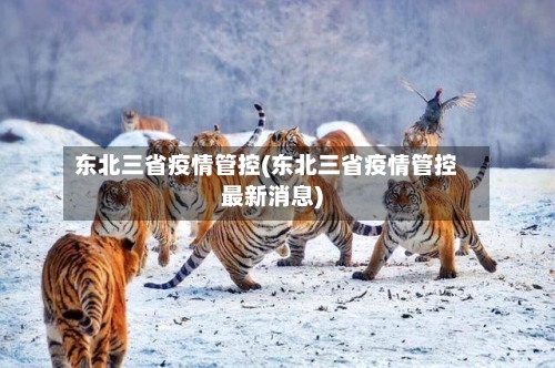 东北三省疫情管控(东北三省疫情管控最新消息)-第1张图片