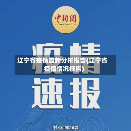 辽宁省疫情最新分析报告(辽宁省疫情情况报告)-第2张图片