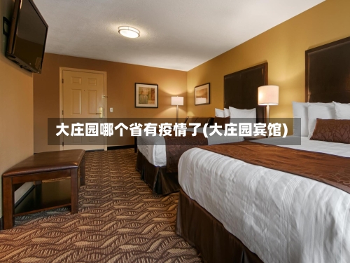 大庄园哪个省有疫情了(大庄园宾馆)-第3张图片