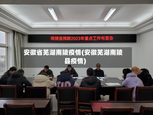 安徽省芜湖南陵疫情(安徽芜湖南陵县疫情)-第1张图片