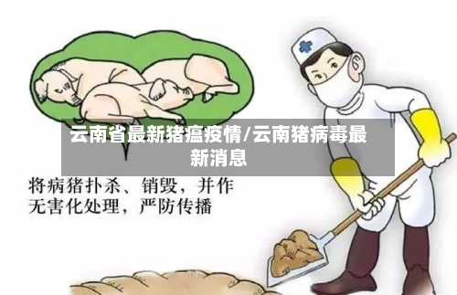 云南省最新猪瘟疫情/云南猪病毒最新消息-第2张图片