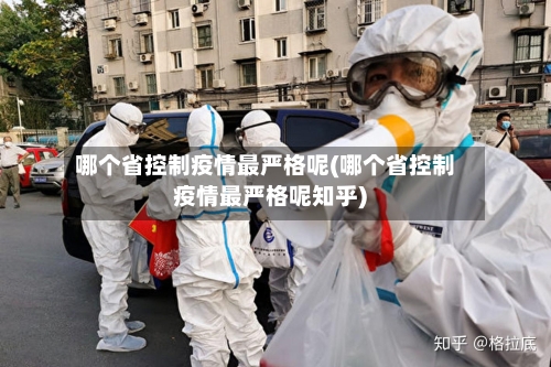 哪个省控制疫情最严格呢(哪个省控制疫情最严格呢知乎)-第3张图片