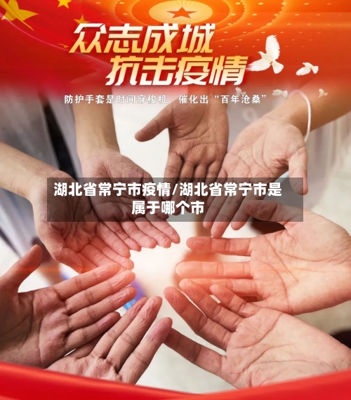 湖北省常宁市疫情/湖北省常宁市是属于哪个市-第2张图片