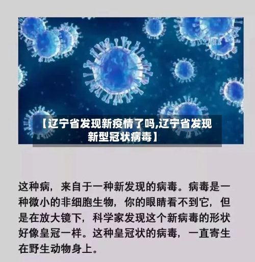 【辽宁省发现新疫情了吗,辽宁省发现新型冠状病毒】-第1张图片