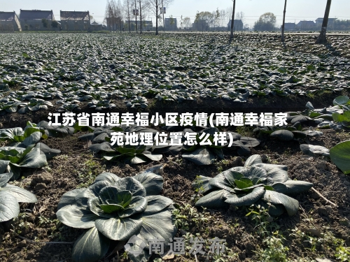 江苏省南通幸福小区疫情(南通幸福家苑地理位置怎么样)-第2张图片