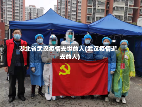 湖北省武汉疫情去世的人(武汉疫情逝去的人)-第3张图片