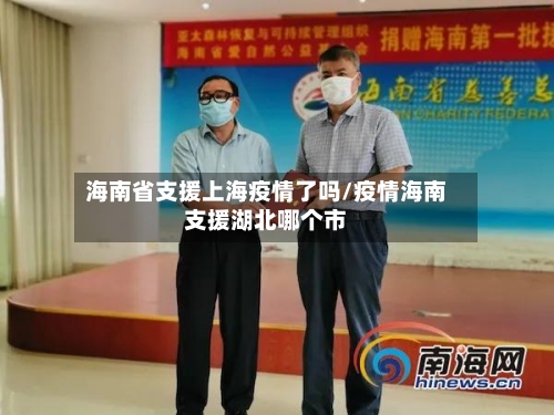 海南省支援上海疫情了吗/疫情海南支援湖北哪个市-第3张图片