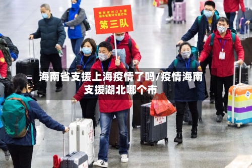海南省支援上海疫情了吗/疫情海南支援湖北哪个市-第1张图片