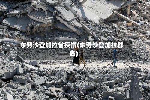 东努沙登加拉省疫情(东努沙登加拉群岛)-第1张图片