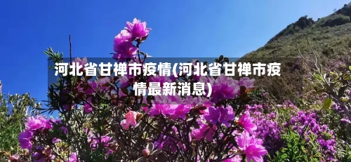 河北省甘禅市疫情(河北省甘禅市疫情最新消息)-第1张图片