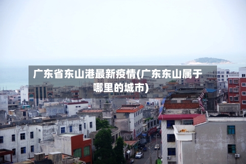 广东省东山港最新疫情(广东东山属于哪里的城市)-第1张图片