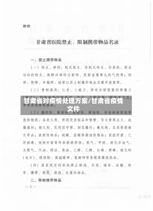 甘肃省对疫情处理方案/甘肃省疫情文件-第2张图片