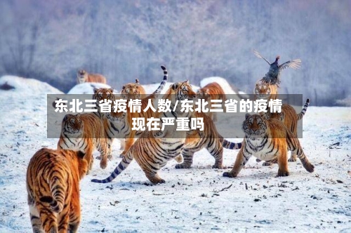 东北三省疫情人数/东北三省的疫情现在严重吗-第2张图片