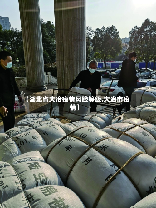 【湖北省大冶疫情风险等级,大冶市疫情】-第1张图片