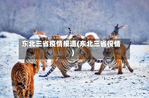 东北三省疫情报道(东北三省役情)-第3张图片