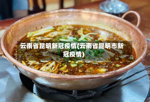 云南省昆明新冠疫情(云南省昆明市新冠疫情)-第2张图片