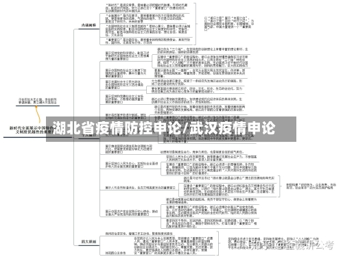 湖北省疫情防控申论/武汉疫情申论-第1张图片