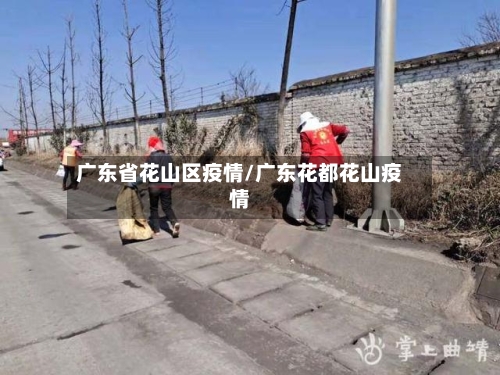 广东省花山区疫情/广东花都花山疫情-第1张图片