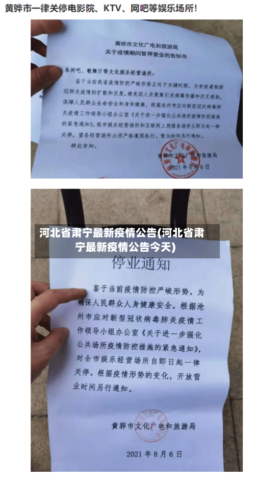 河北省肃宁最新疫情公告(河北省肃宁最新疫情公告今天)-第1张图片