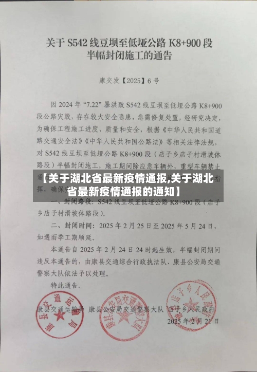 【关于湖北省最新疫情通报,关于湖北省最新疫情通报的通知】-第2张图片