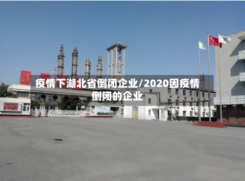 疫情下湖北省倒闭企业/2020因疫情倒闭的企业-第1张图片