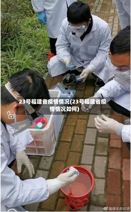 23号福建省疫情情况(23号福建省疫情情况如何)-第1张图片