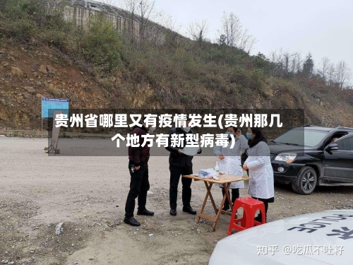 贵州省哪里又有疫情发生(贵州那几个地方有新型病毒)-第2张图片