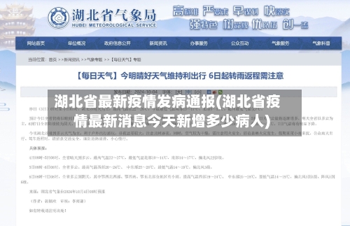 湖北省最新疫情发病通报(湖北省疫情最新消息今天新增多少病人)-第2张图片