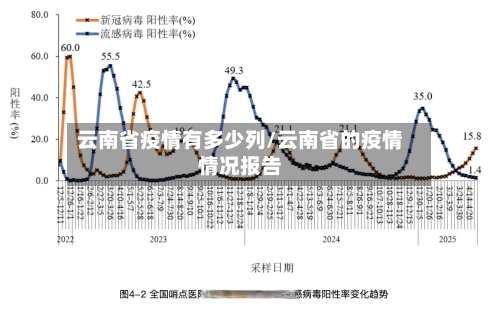 云南省疫情有多少列/云南省的疫情情况报告-第1张图片