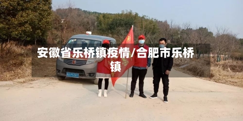安徽省乐桥镇疫情/合肥市乐桥镇-第3张图片