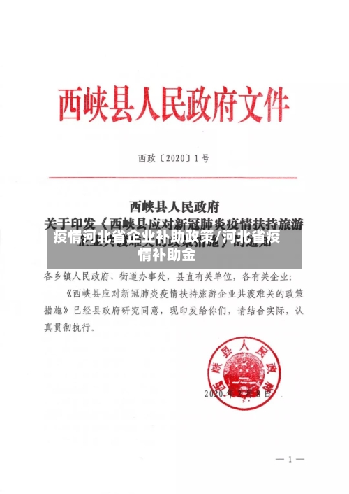 疫情河北省企业补助政策/河北省疫情补助金-第2张图片