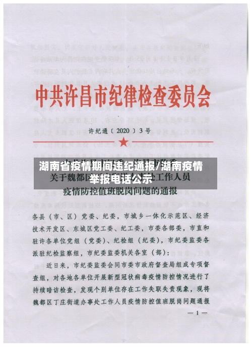 湖南省疫情期间违纪通报/湖南疫情举报电话公示-第3张图片