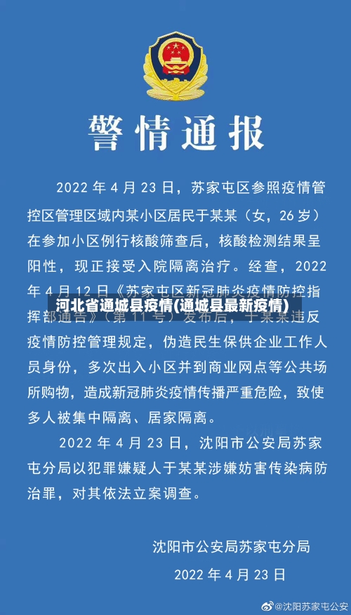 河北省通城县疫情(通城县最新疫情)-第1张图片