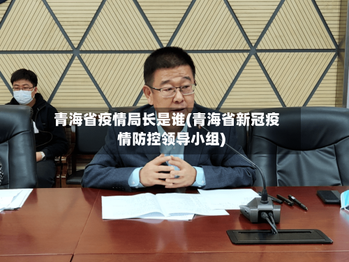 青海省疫情局长是谁(青海省新冠疫情防控领导小组)-第3张图片