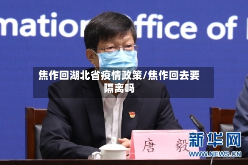 焦作回湖北省疫情政策/焦作回去要隔离吗-第3张图片