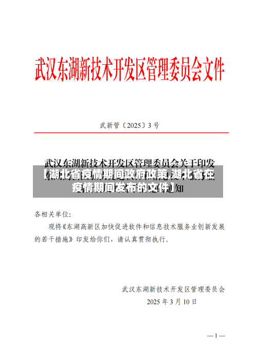 【湖北省疫情期间政府政策,湖北省在疫情期间发布的文件】-第2张图片
