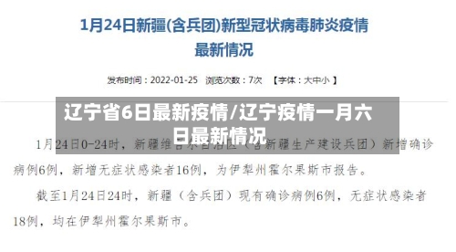 辽宁省6日最新疫情/辽宁疫情一月六日最新情况-第3张图片