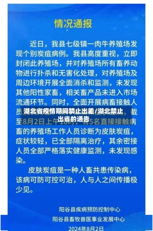 湖北省疫情期间禁止出差/湖北禁止出省的通告-第1张图片