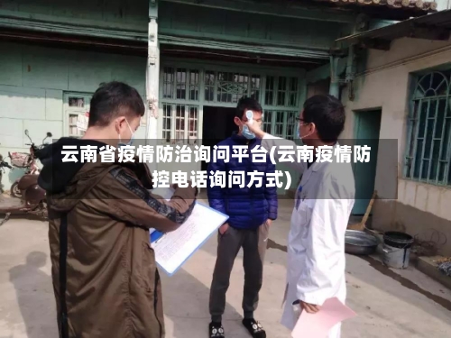云南省疫情防治询问平台(云南疫情防控电话询问方式)-第1张图片