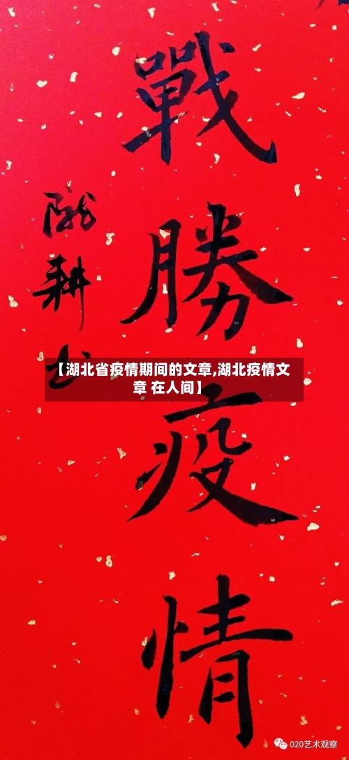 【湖北省疫情期间的文章,湖北疫情文章 在人间】-第3张图片