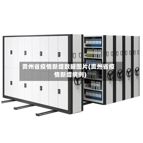 贵州省疫情新增数据图片(贵州省疫情新增病例)-第2张图片