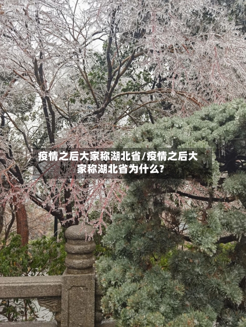 疫情之后大家称湖北省/疫情之后大家称湖北省为什么?-第1张图片
