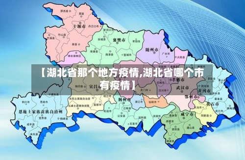 【湖北省那个地方疫情,湖北省哪个市有疫情】-第2张图片